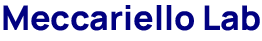 Meccariello Lab Logo